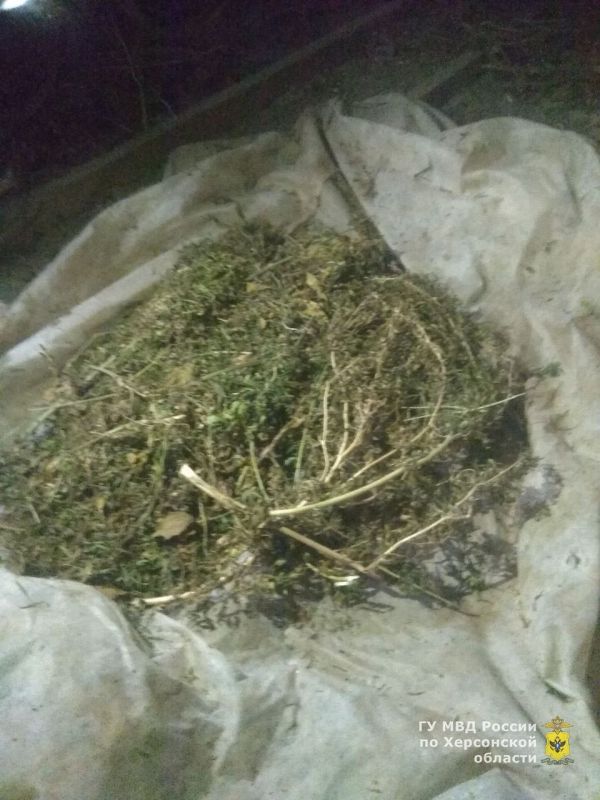 � ��������������� ������ ����������� ���������� � �������� ������ ����� 2 �� �������