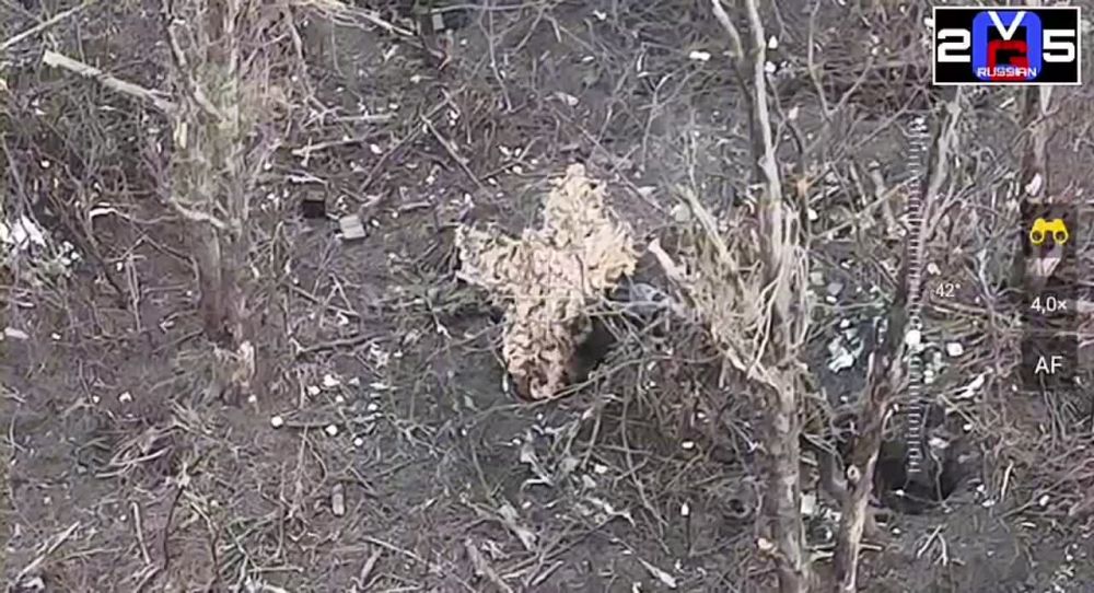 ��������� ���� �� �� ���������� �������� ����� �� ���������� ��������������