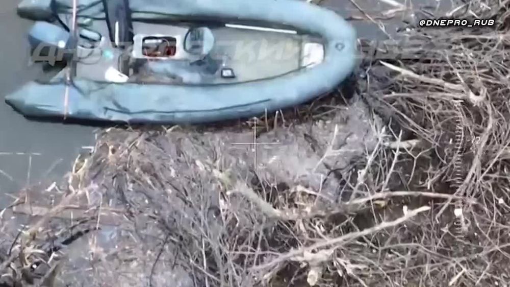 ����������� ����� "�����". ���������� �����������