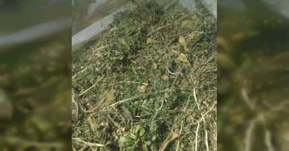 ���������� ������: ������ ���������������� ������ ��������� � ������� ���������