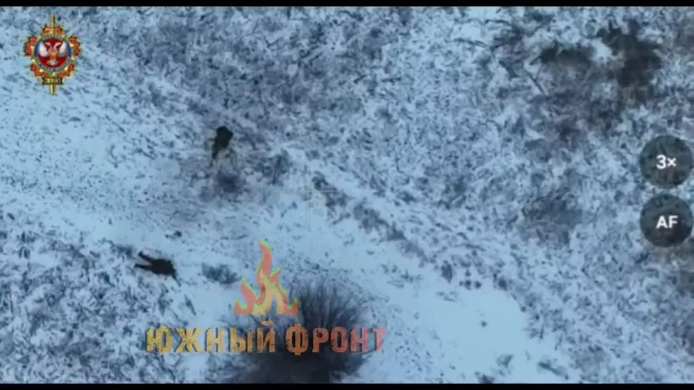 ����� ������������ - "����" ���������� ��������� ������ �� ������ �� ���������� �����������