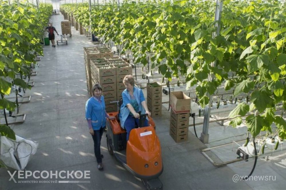 � ������� ������������� �������� ����� 8 ���� ������ �� �������� ��������� ���������