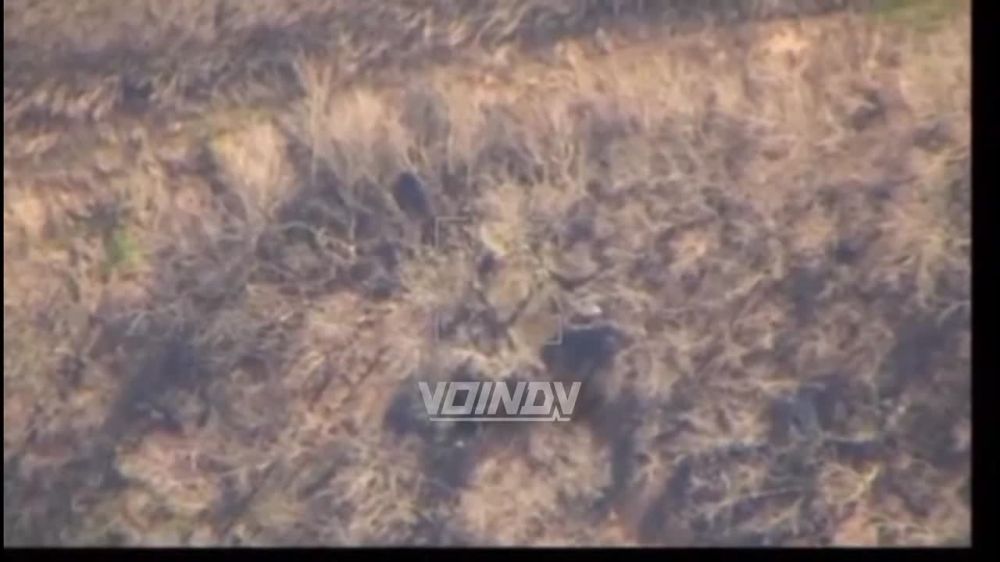 ��������� ���� 336 ��������� ����������� ������� ������� ������ ������� � �������� ��������� �������������� ������