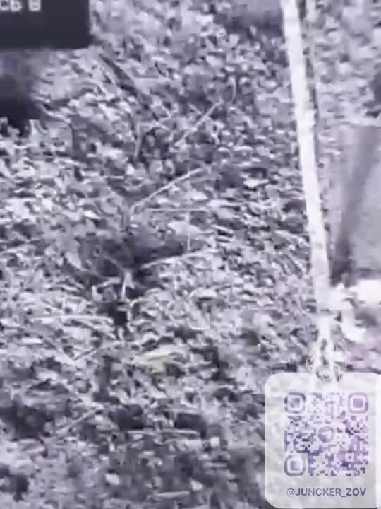 ��� ������: ����� ����� ��������� � ����������� �����������