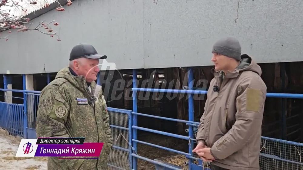 �� ����� �� ���� ��������� � ���� ������: ������ �������� �������� � ��� ������ ������������ � ������������, ���� ��������� � ��� ����� ������� ��������, � ������ �������� ��� ��������������