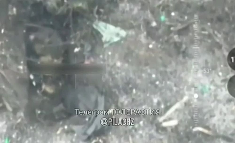 ����� ����������� ����� ��� ��������� ����� FPV-�����