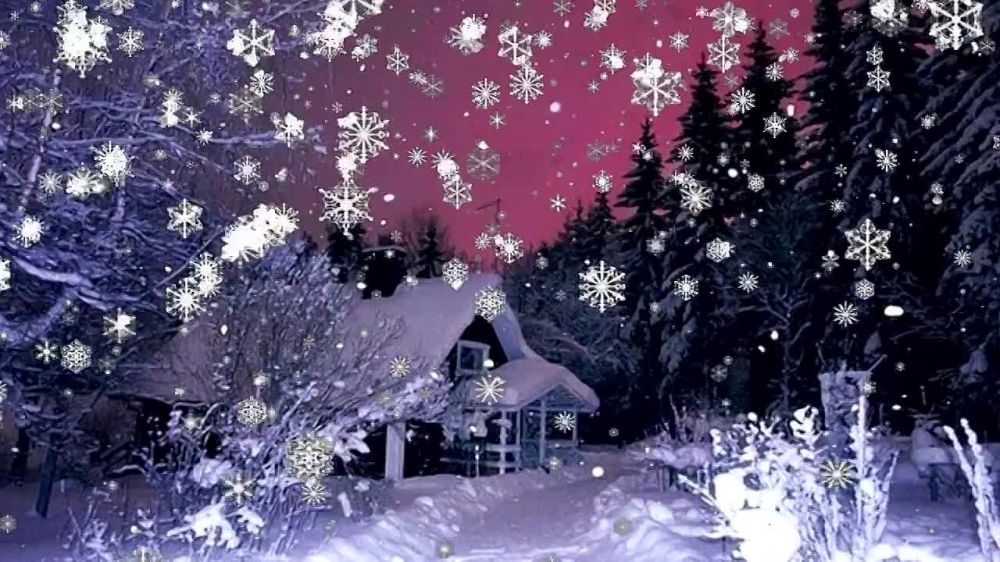 ����� ������ ����� ����� ����� ����