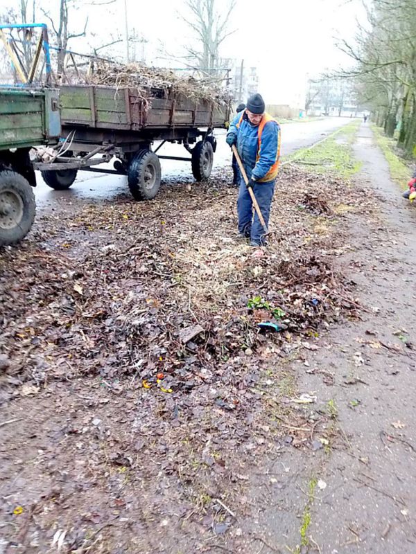 ������������ ��������������� ���������