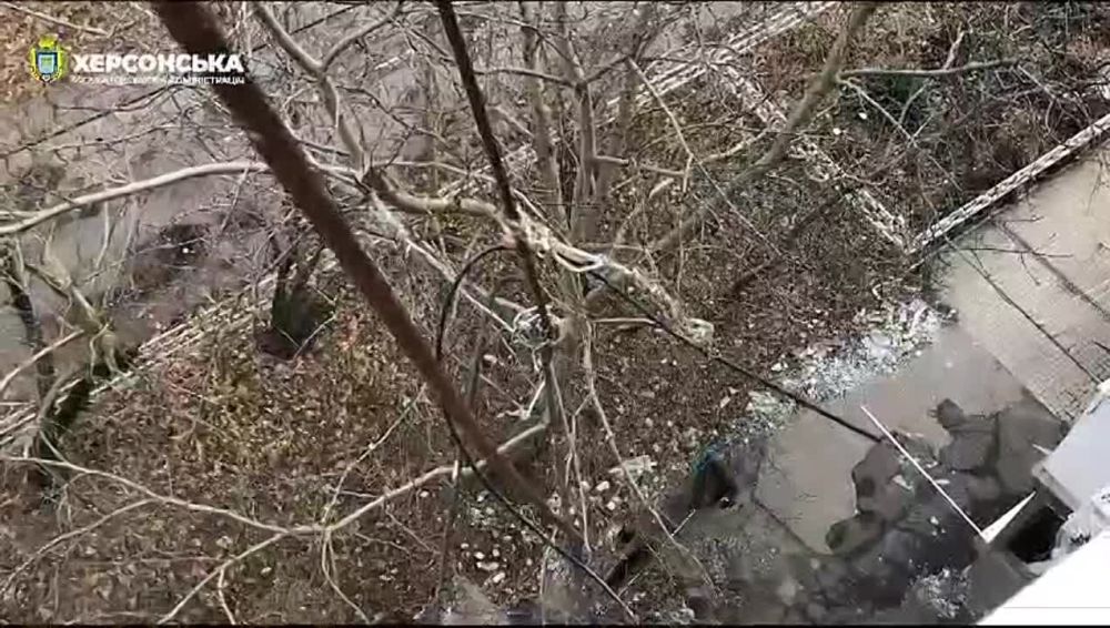 � �� ��� ������.... ������: ��� � �����, �� �������������