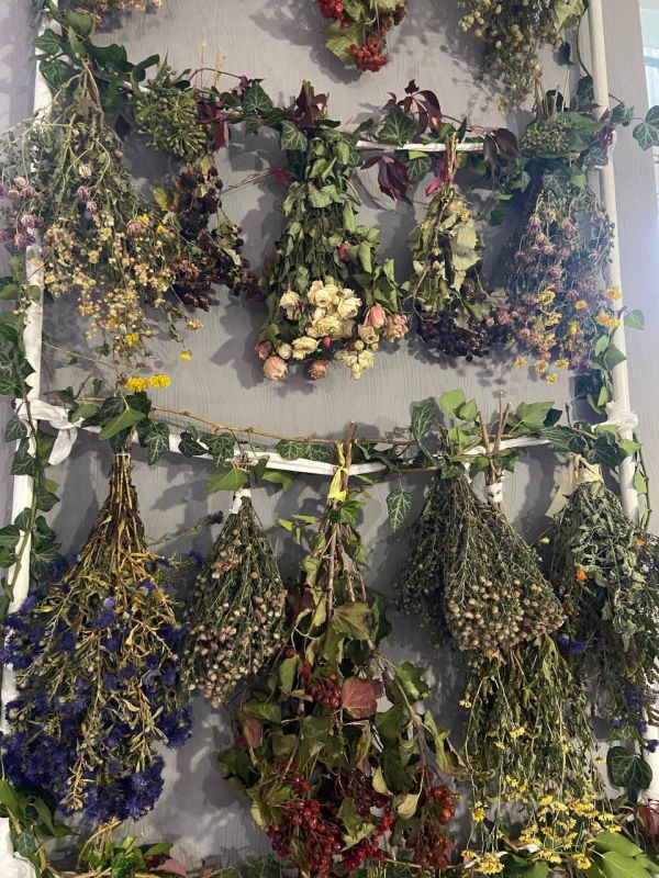 15 ������� ��������� ������������� ���� ���, �� ����������� �������������� �������� � ������ ���