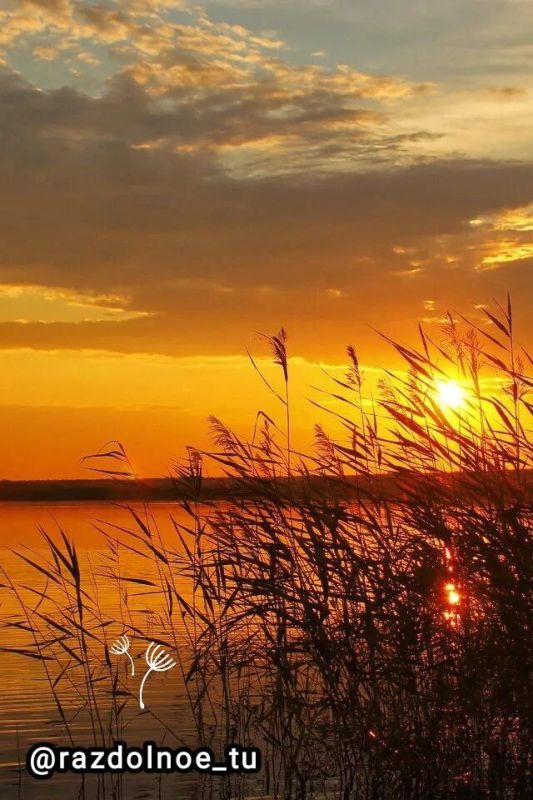 ����������!. ����� ���� ����� �������