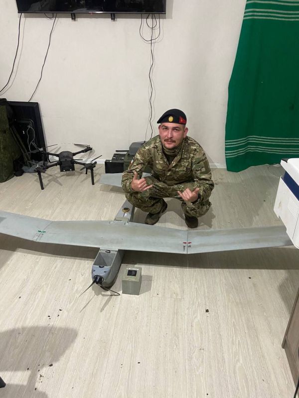 ����� �����: ������, ���������� �����������