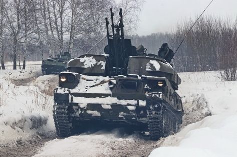 ������� ��� ������ �� ����� ���������� 91 ���������� �������������, � ��� ����� � ���