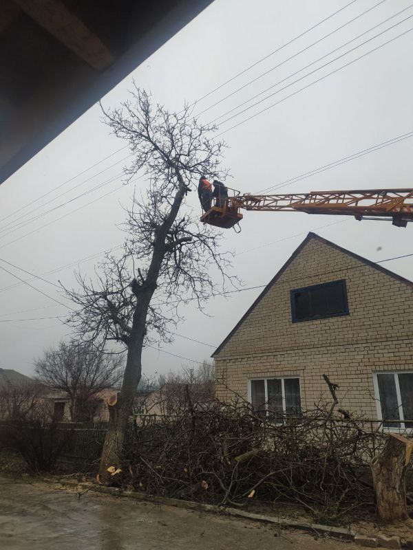 ������������ ������ ������ � ��������