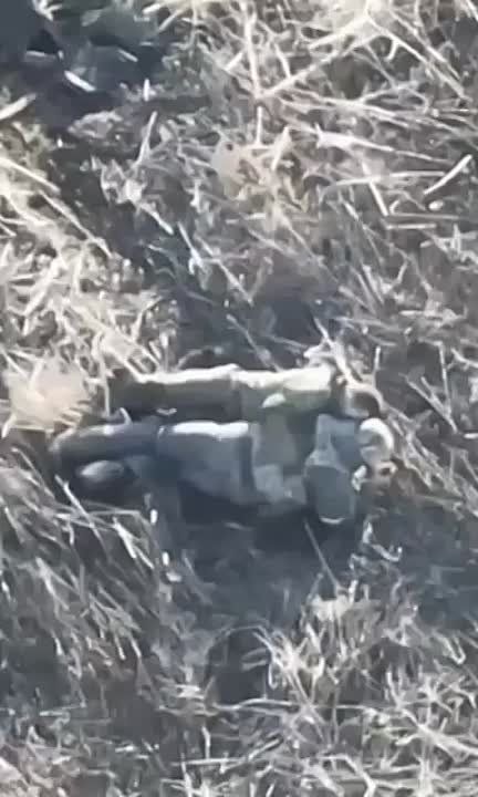 ���� ��� ������, ��� ��� ���� �������� ���� �������� ������������ ������ �������� ��������