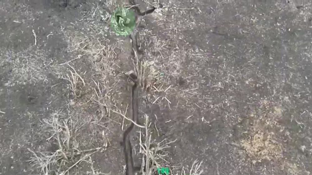 ����������� ��������� ���� ������ �������� "�������" �� ������� ��� ��� ���������