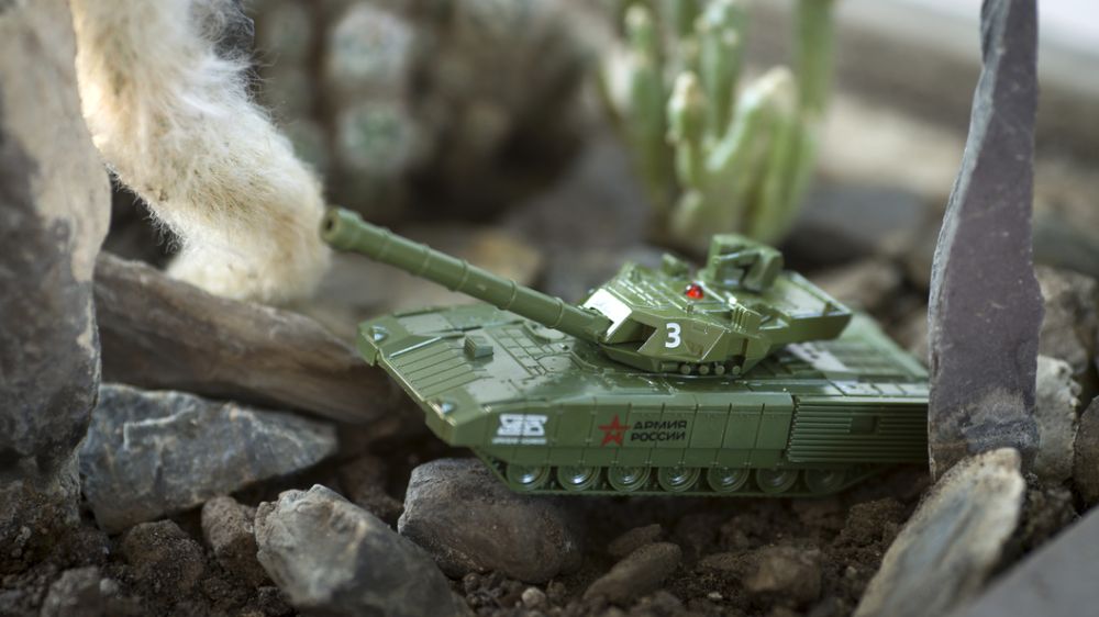 ��� ������� � ������. ���� � ����������� � ���������. ������ ����� ������� �� ���