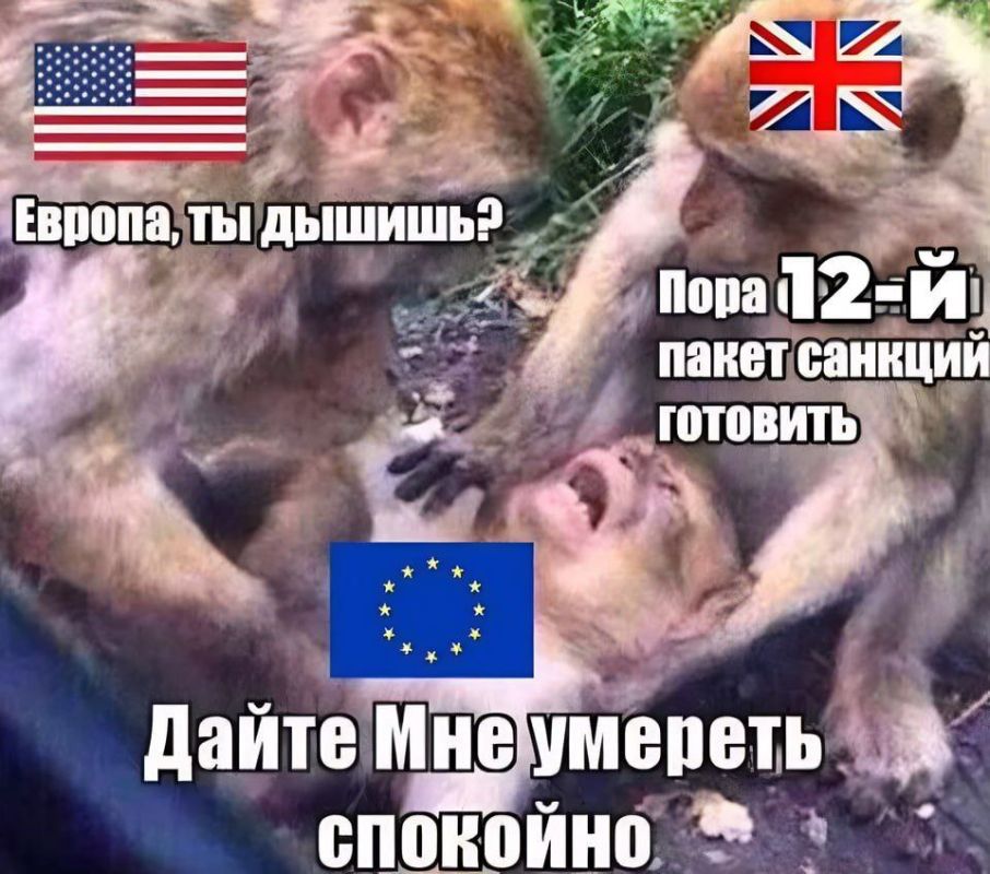 �� ������ 12-� ����� ������� ������ ������ ������� � Financial Times