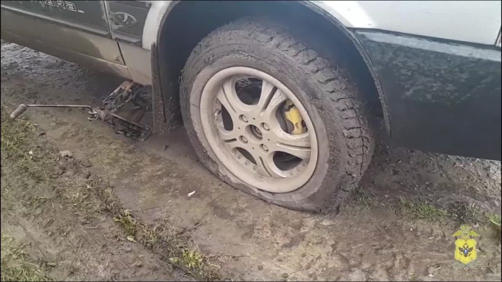 � ����������� ������ ��������������� ������ ������ �������� �������������