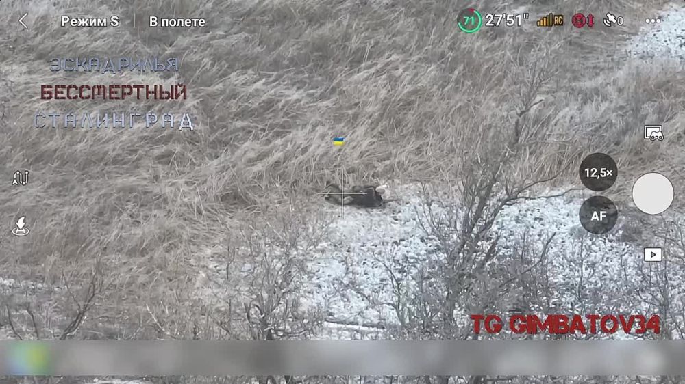 ����� ����������� ���� ��������� ������ ���������� ����������