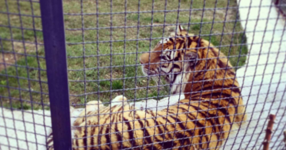 � ���� ������� �������� �� ����� ��������