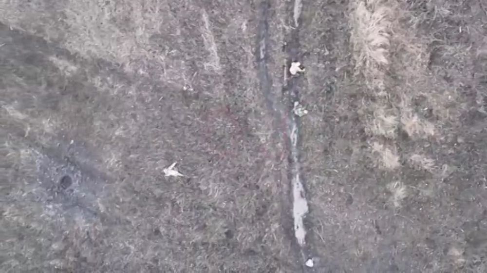 ����� ������ ���������� 200-�� ����������� �������������� ������� ��������� ����� �� ���������� �����������