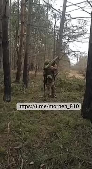 ���������� 810 ������� ������� ������ �� �������� � ���� ������ �� ����������� ������ � ���������� �������