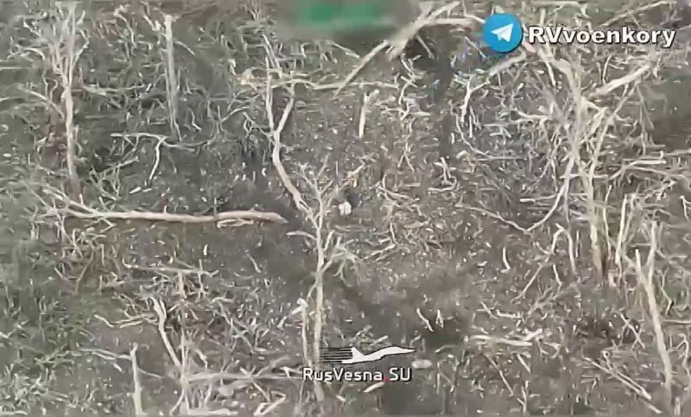 ����� ����� ��-��� �������� �� ����������� ������