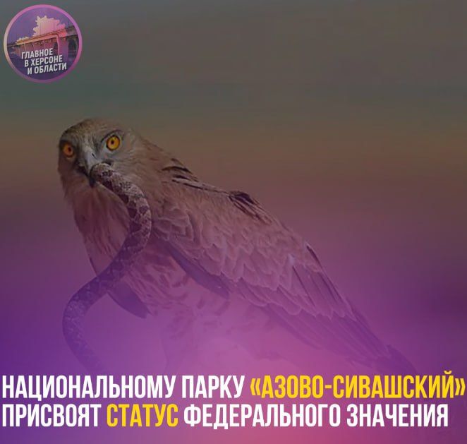 ������������� ����� ������-��������� �������� ������ ������������ ��������