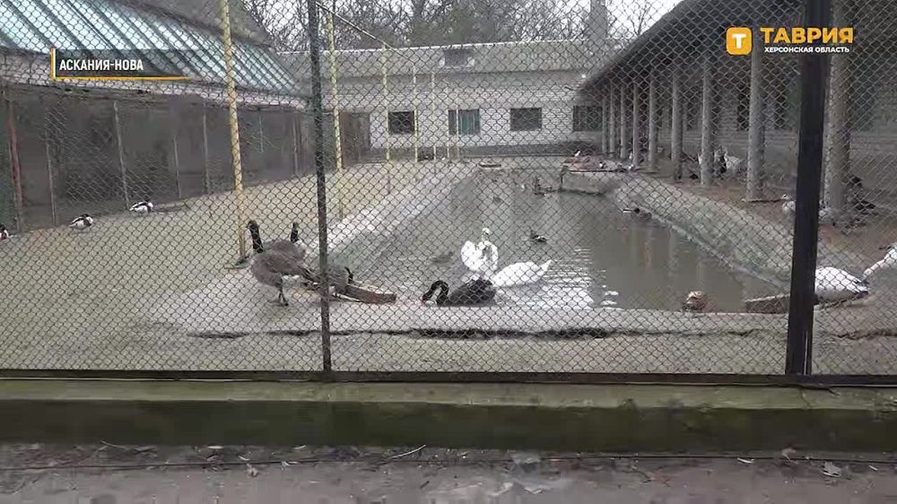 ���� ���������� ������� ������� ������� � ����������� ������� "� ������ � �������"