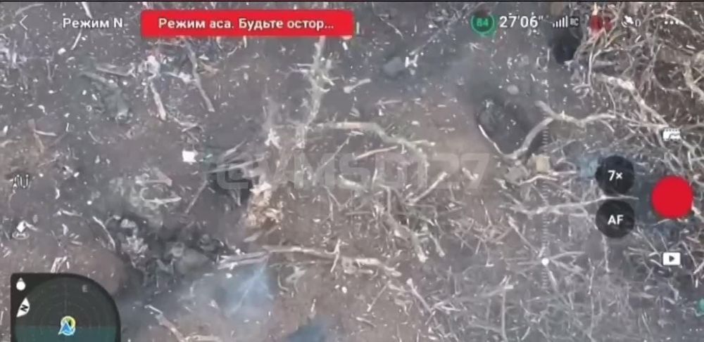 ������������ 394 ��������������� ����� 127 �������������� ������� �������� ������� ���������� ������-�������� ��������������