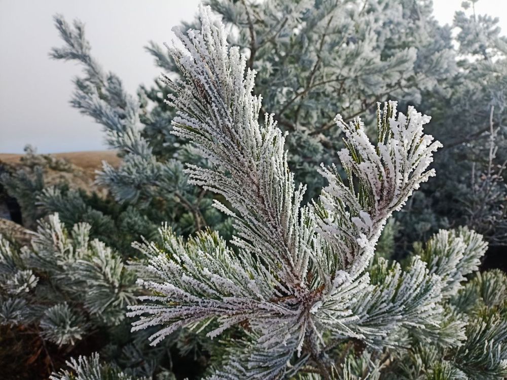 � ������ �����, �����������!