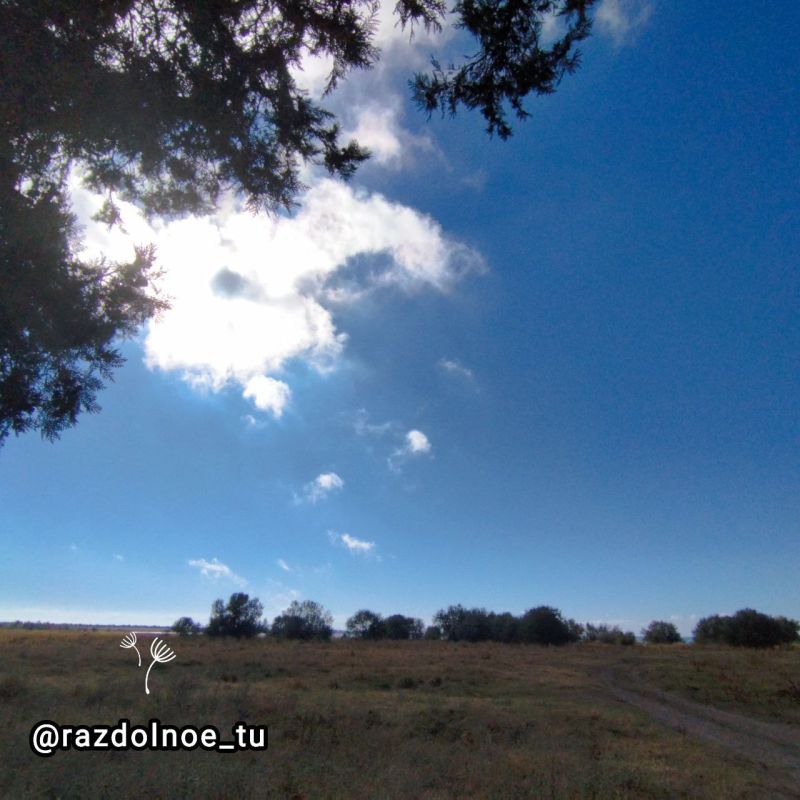 ������ ����. ������,����� � ����������� ���� ������� ������ � ������������ �� �������� ����������,�� ���������� ���������� ����� � � ���������!���������, ��������, ����� � ����� ������ �������!