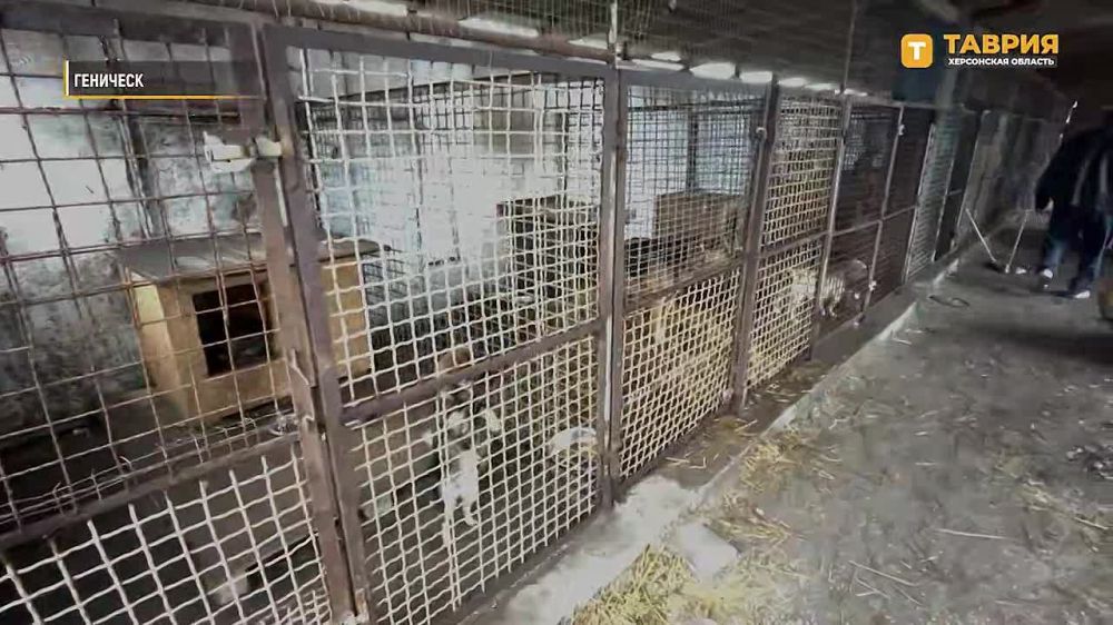 ��������� "��������� ������" �������� 200 �� ����� � ���������� ����� ��� ��������� ��������