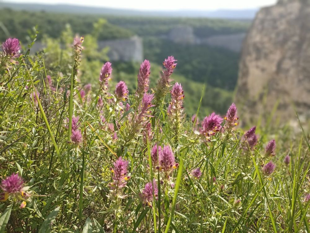 16 ������� �������� �������� ��� ���� ��������� �������� - ���� ��������� ������