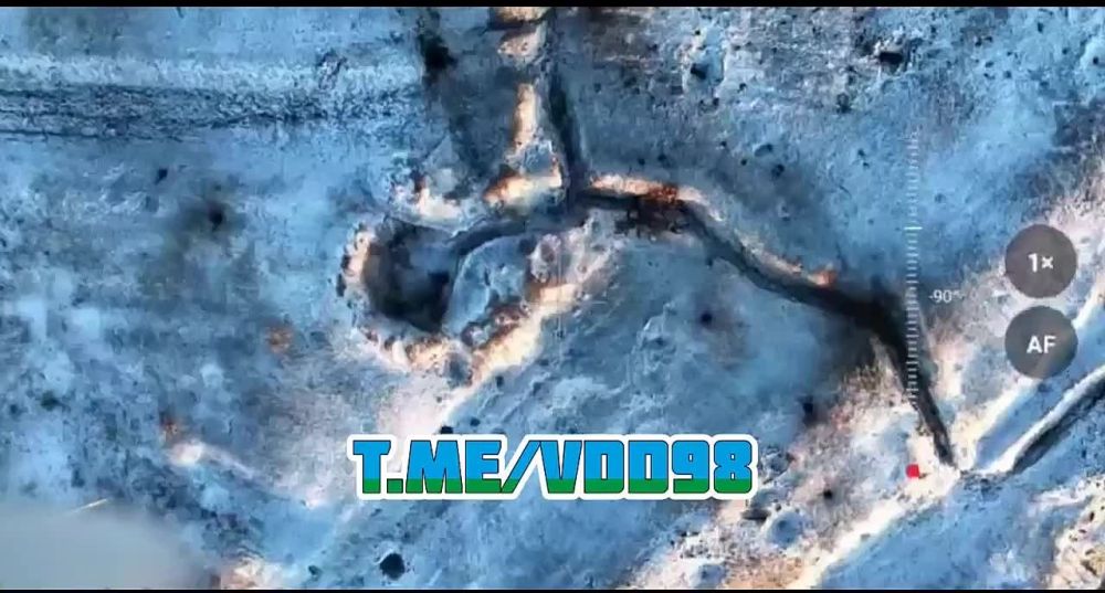 ������������ ��������� ��������� �������� ������� 98-� ��������-��������� ������� ���