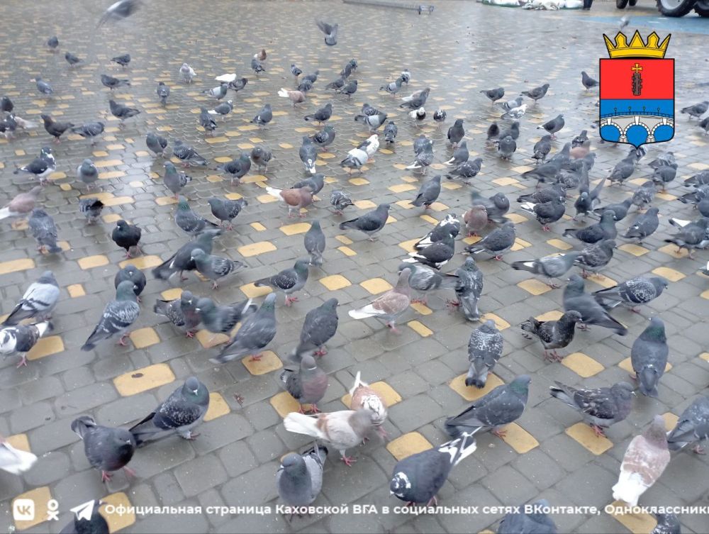 ������ ����, �������!. @VGA_Kakhovka