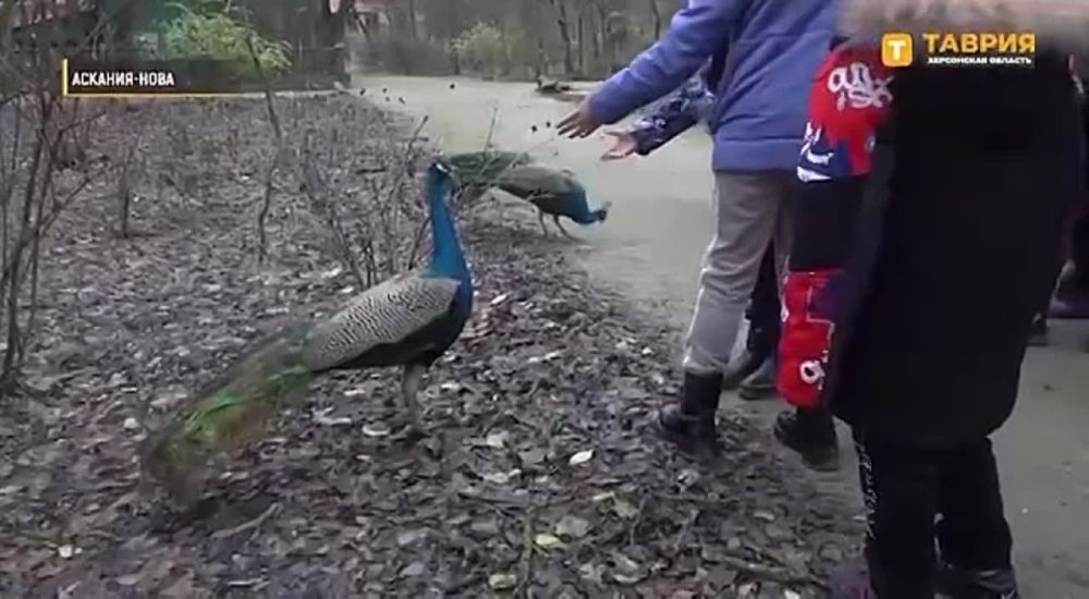 ���������� �������. ���� ���������� ������� ������� ������� � ����������� ������� �� ������ � ������� ������, �������������� ������������ ���������� ��������� �������, �������� �������� ��������� �� 18 ��� ����� ������������� � ������� ���������