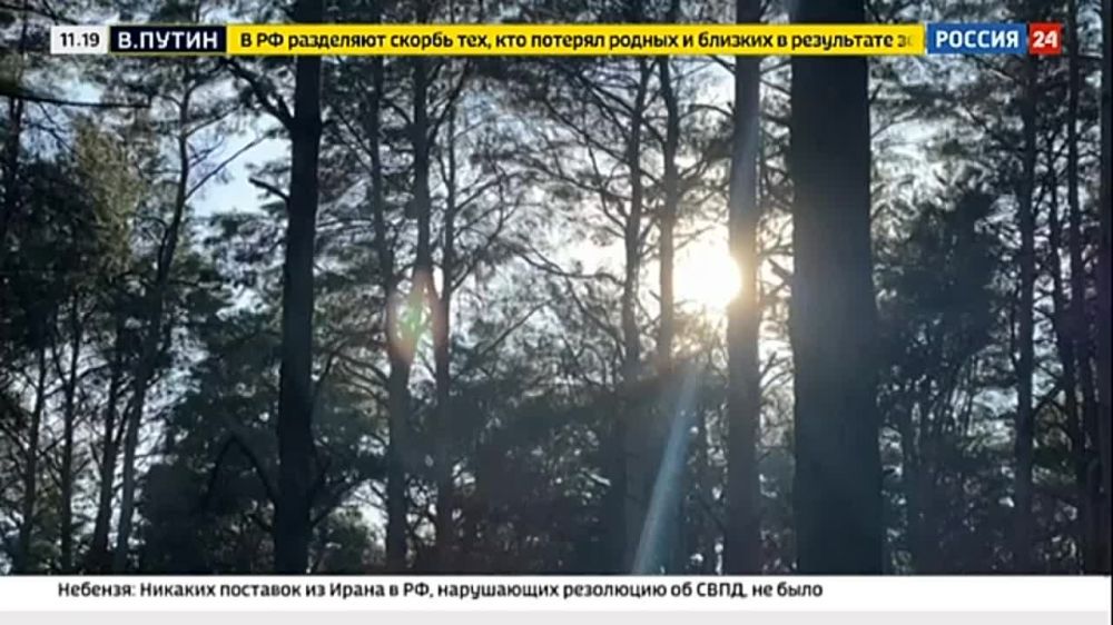 �������������� ����������� "�����" ��������� ��������� �������� ��� ������