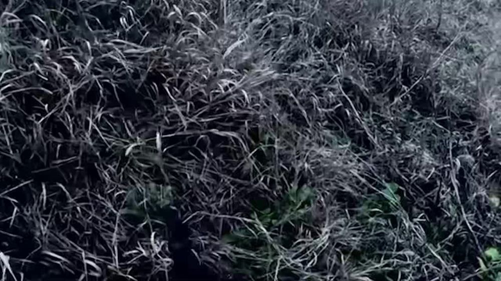 � ������ � ���� ��������� ������� ������� ���������� ���������� ������� �������� ������