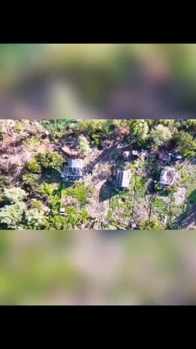 ��� ������: ���������� �����������, ��������� ������ � ������