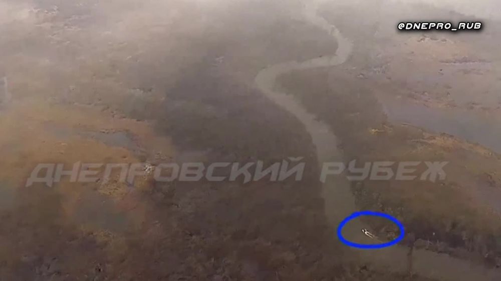 ����������� ����� "�����". ���������� �����������