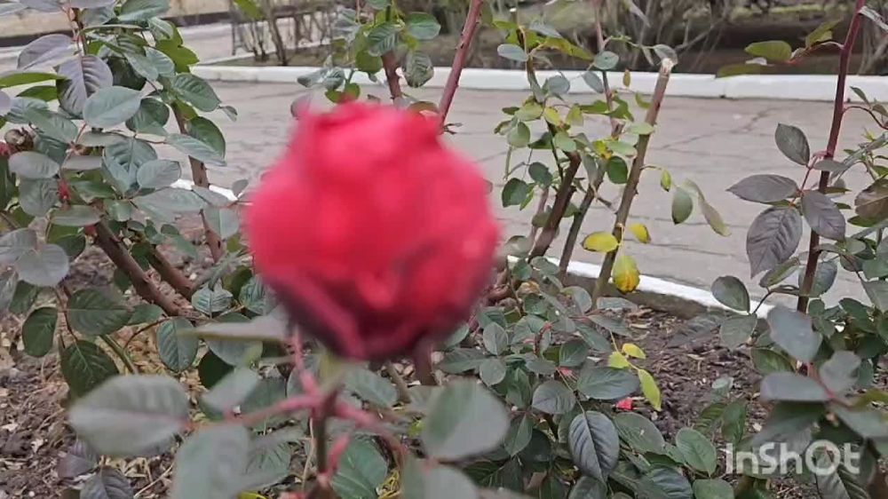 ����� ���������� ���������� ����� �������������