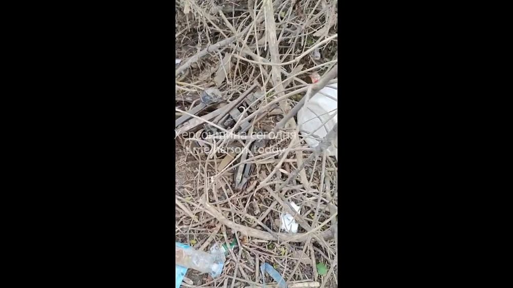 ���� �� �������� ���������� � ����� �������������� ���, ������� �������� ���� �������