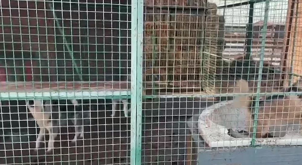 ���������� ���������� ������� �������� �� �������-����� �� ���������� �������