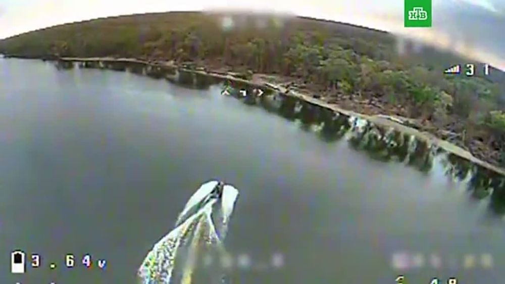 ��� �������� ����� ��� ���������� � ������� FPV-������ �� ������ � ���������� �������