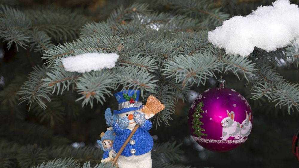 ���������� ���� ������ � ����������� ��������������� ����������