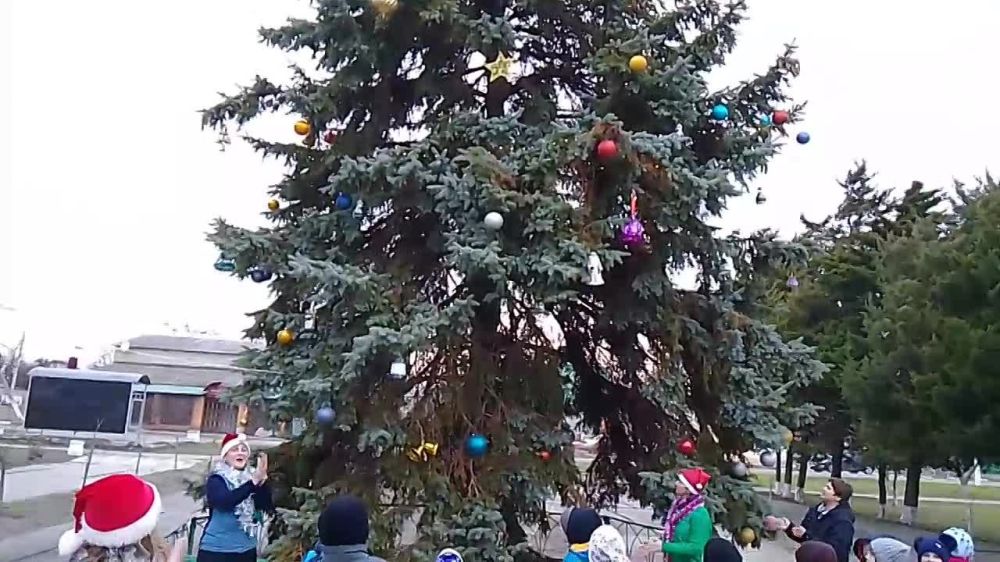 В ТУ Лазурное Скадовского МО торжественно зажгли главную ёлку села!
