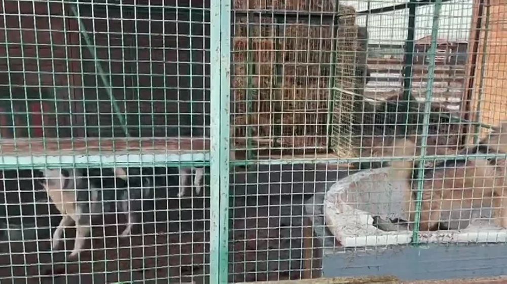 ���������� ������� ������ ������� ������ ����������� ������-�����, ������������� ��-�� ������