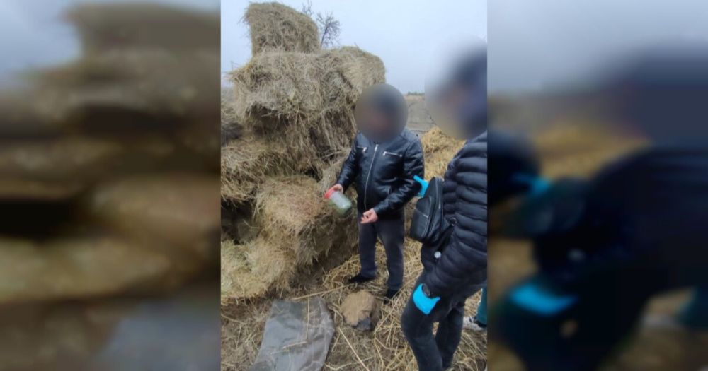 ������ ����������� ������ ��������� �� ���������� � ����� ����������